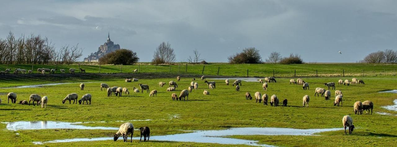 Gite Mont Saint Michel "Aucoeurdelabaie" Sains Exteriör bild